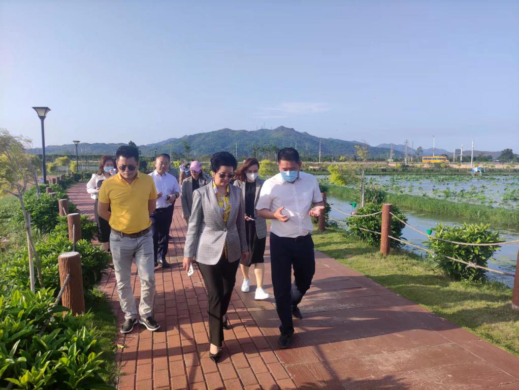 省生态修复协会轮值会长单位尊龙凯时人生就是搏集团带队赴汕尾全域土地整治军民融合试点项目调研
